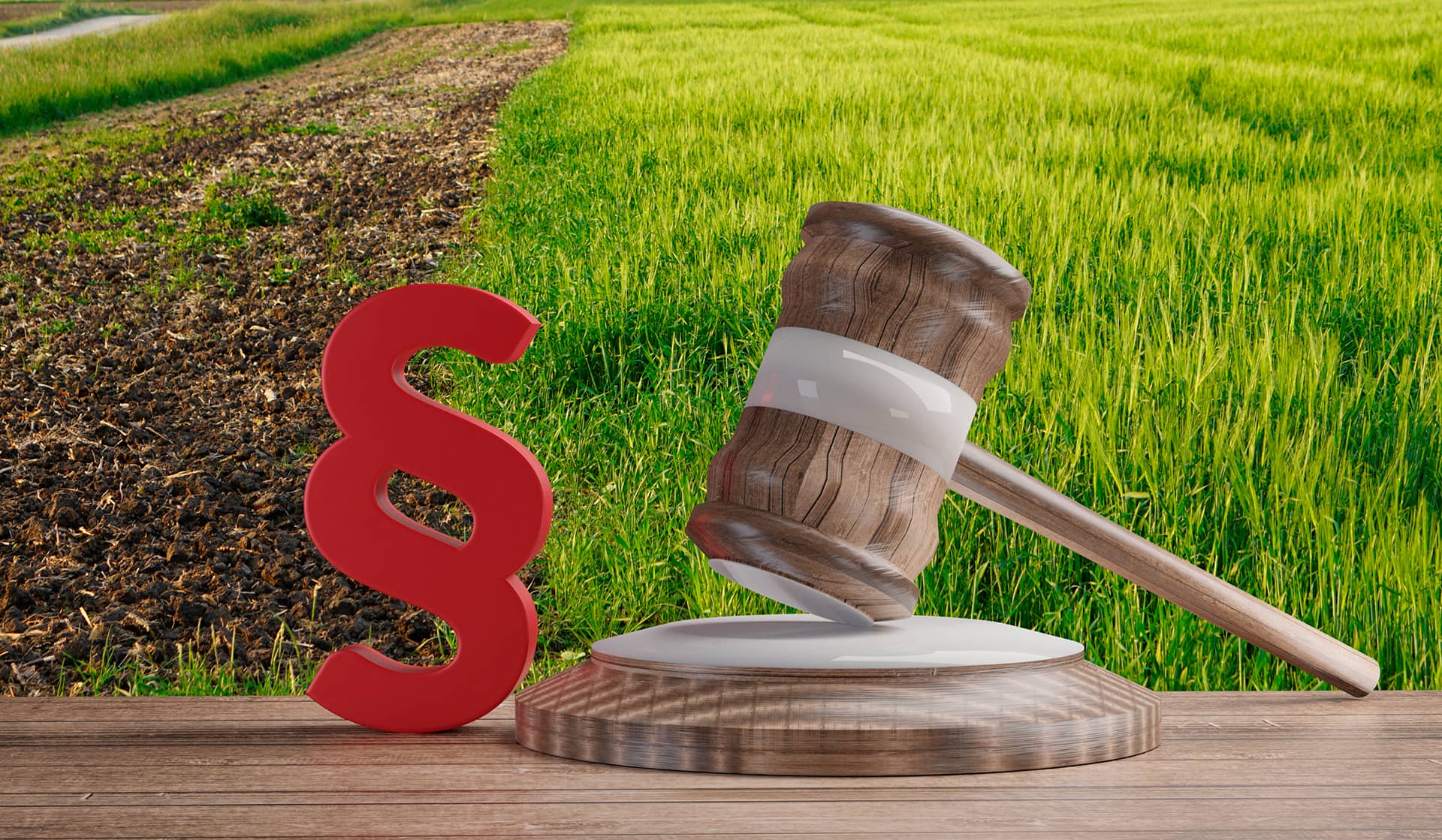 Símbolo financeiro e martelo da justiça, com lavoura ao fundo, representando gestão jurídica no campo.